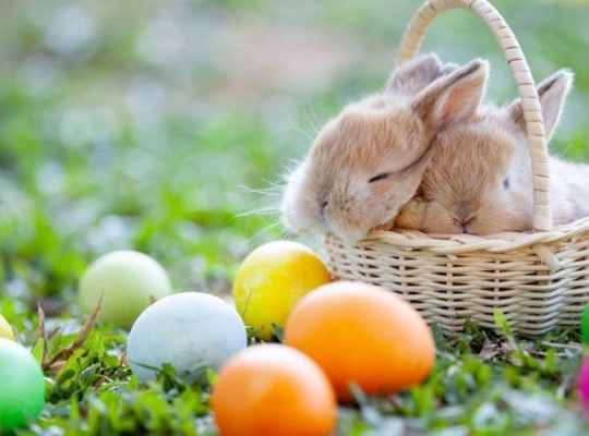 base-item__image lazyload