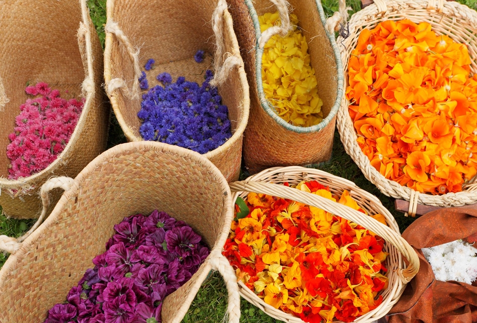 frieder-blickle-kraeuterhof-92