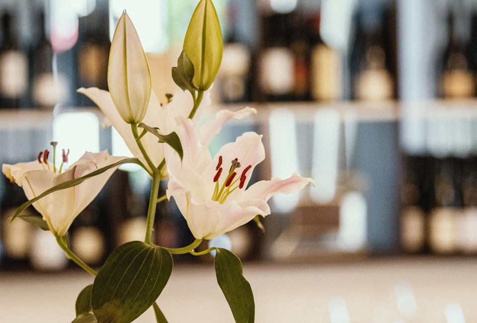 anett-hotel-restaurant-06