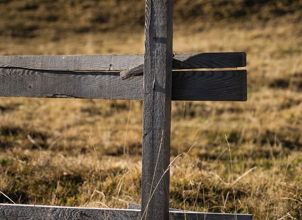 dsc08692-josefobexer