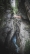 064-gilfenklamm-kottersteger-180707-kot-4776