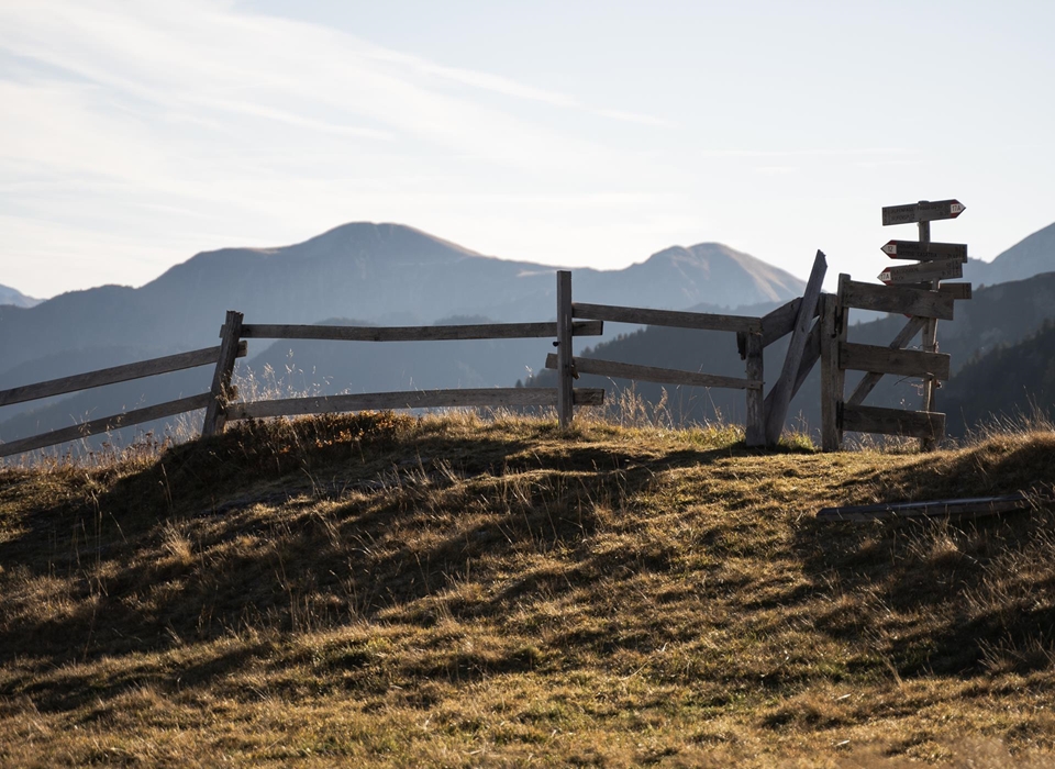 dsc08694-josefobexer