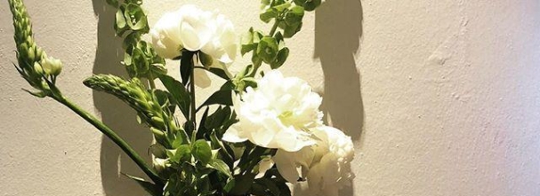 anett-fb-blume